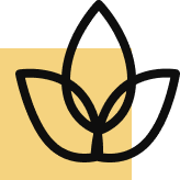 Well-maintained Gear